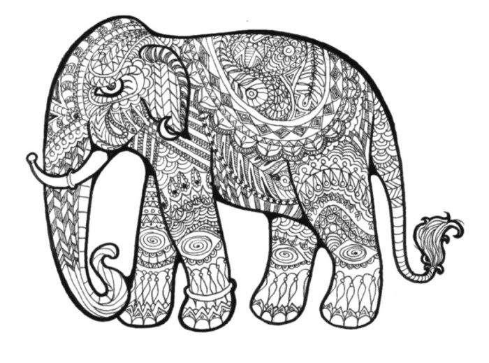 Animal facts coloring pages