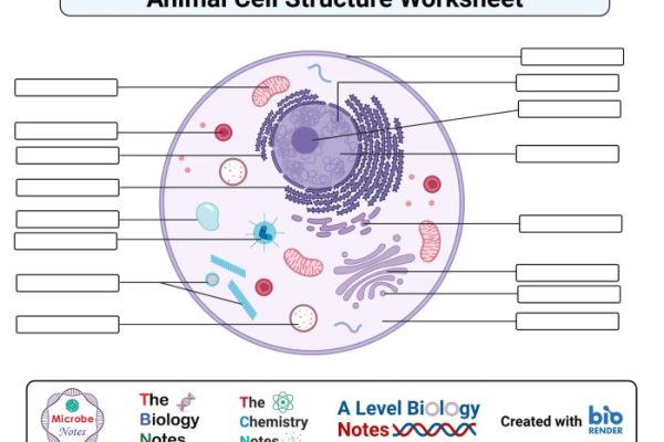 Coloring animal cell popular pages