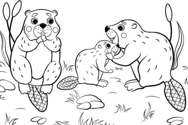 Free printable coloring pages animals