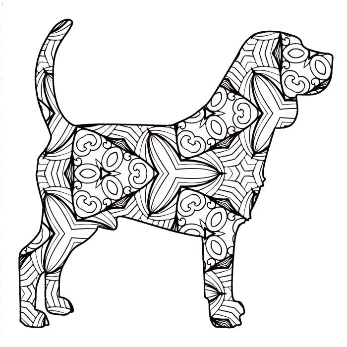 Animals free coloring pages