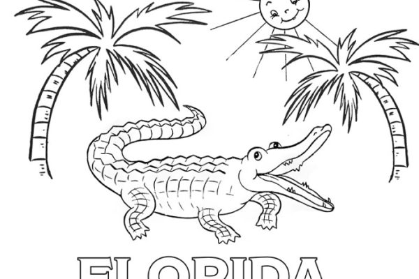 Animals of florida alphabet coloring pages