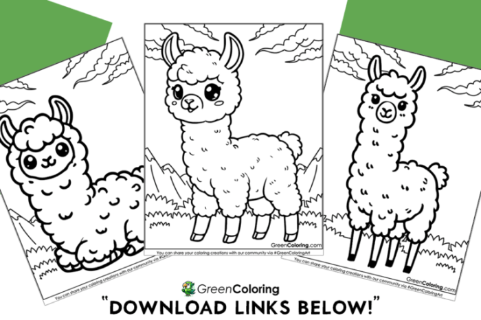 Animal cartwheel coloring sheet