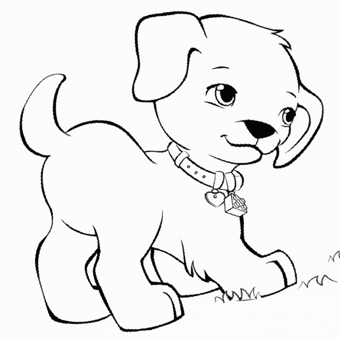 Animal pet coloring pages