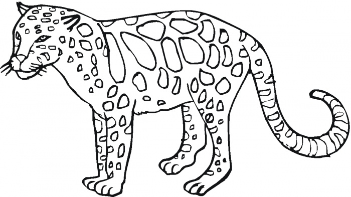 Coloring sheets of wild animals