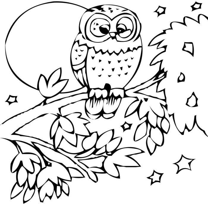 Animal coloring pages free download