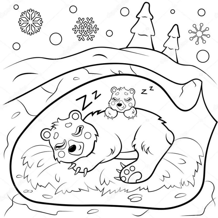 Animals that hibernate in winter coloring pages