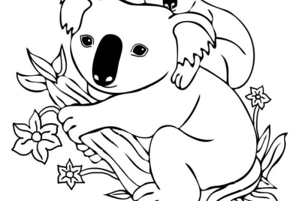 Animated baby koalas coloring pages