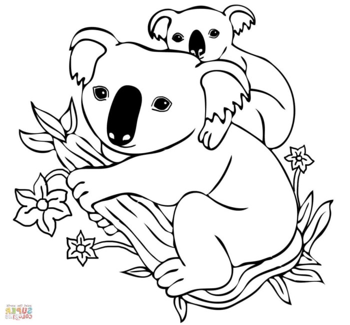 Animated baby koalas coloring pages