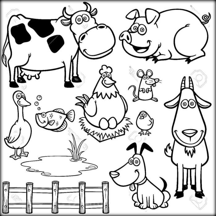 Animal coloring pages for kids pdf