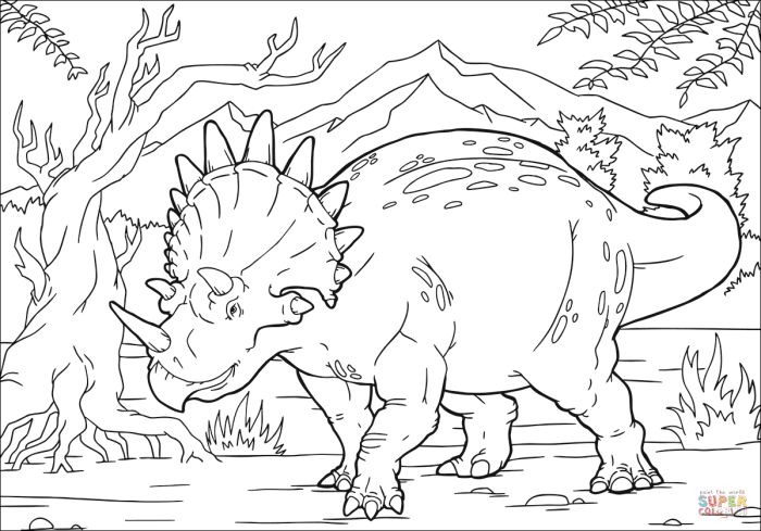 Triceratops coloring dinosaur pages drawing dinosaurs cartoon dreamstime head illustration outline bonanza stock getdrawings baby color isolated getcolorings printable colour