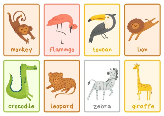 Animal coloring flash cards