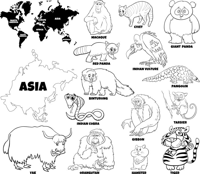 Coloring pages of asian animals