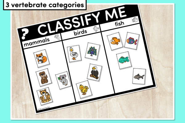 Animal classification coloring sheet matching