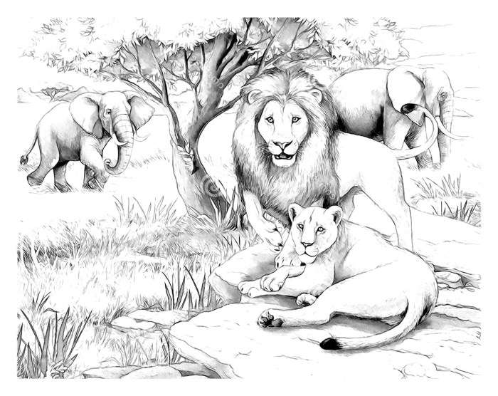 Animal faces coloring pages lion