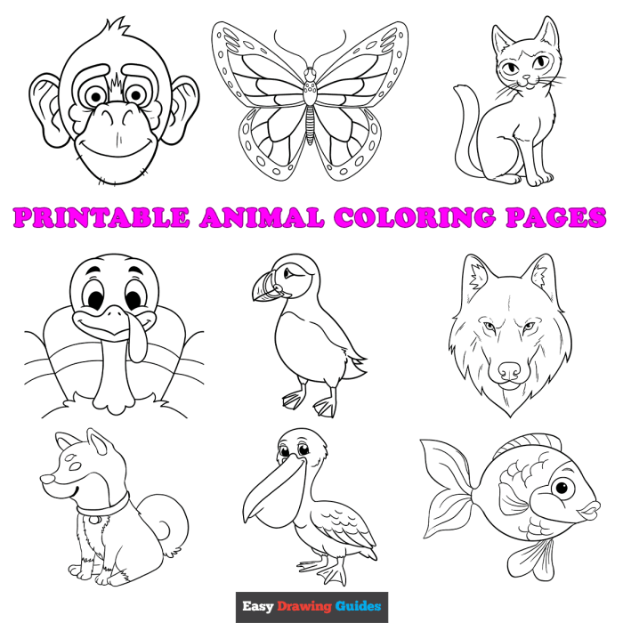 Animal coloring pages for