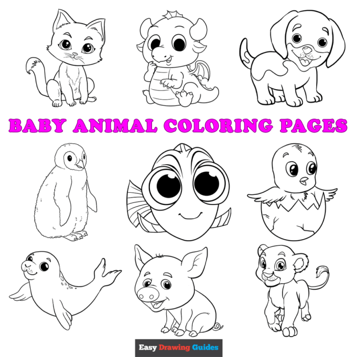 Free printable cute baby animal coloring pages