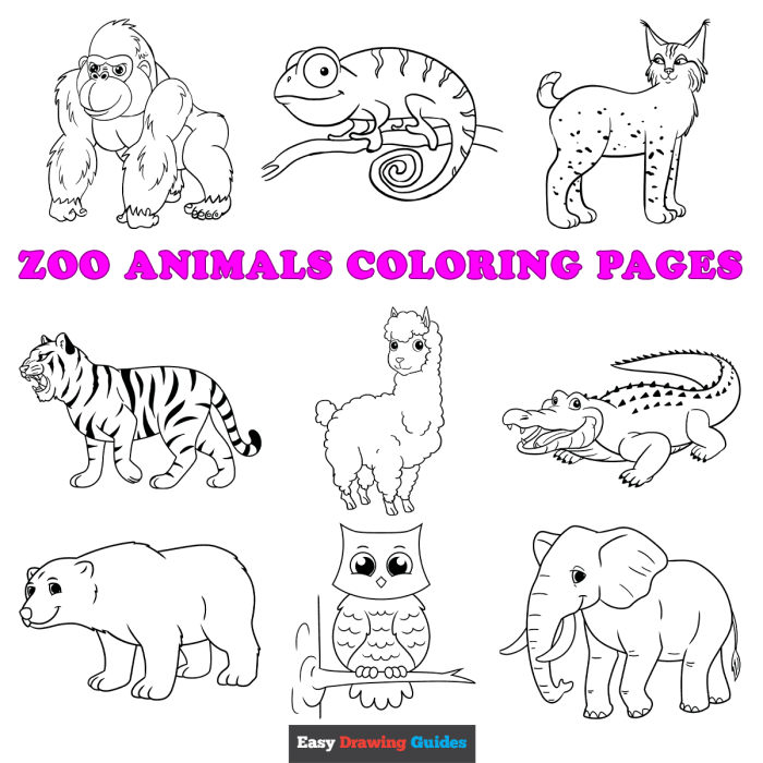 Animal coloring pictures to