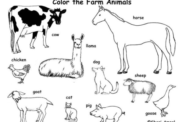 Farm animals coloring free