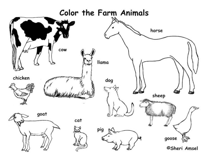 Farm animals coloring free