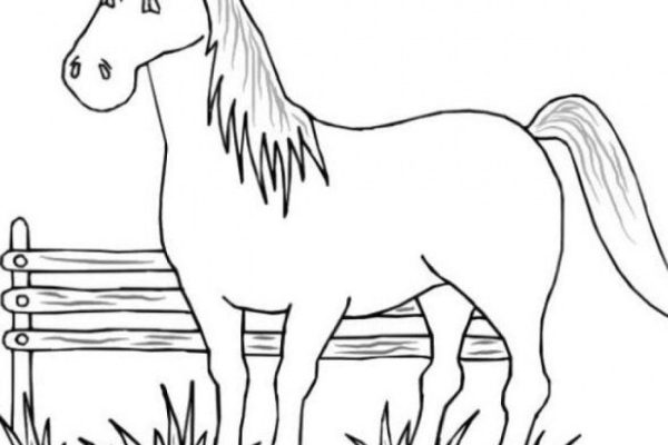 Farm animal coloring sheets free