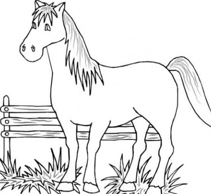 Farm animal coloring sheets free