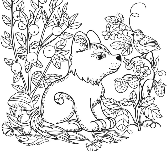 Coloring sheets of wild animals