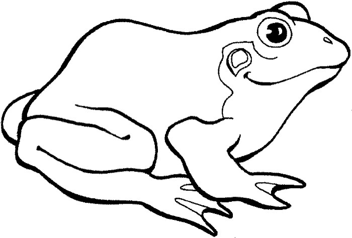 Animal coloring pages for teenagers frog