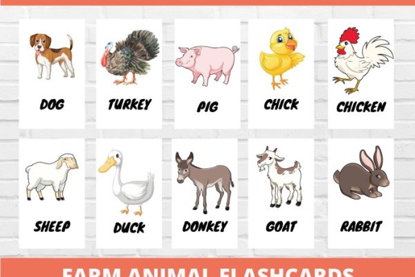 Flashcards animal flashcard preschool vocabulary reading