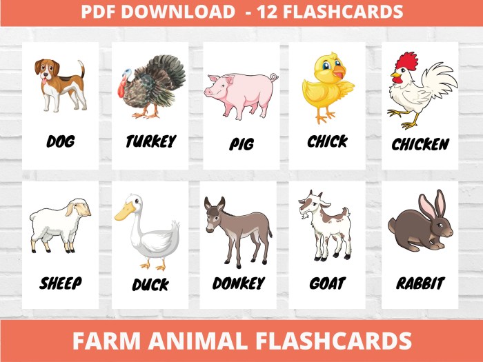 Flashcards animal flashcard preschool vocabulary reading