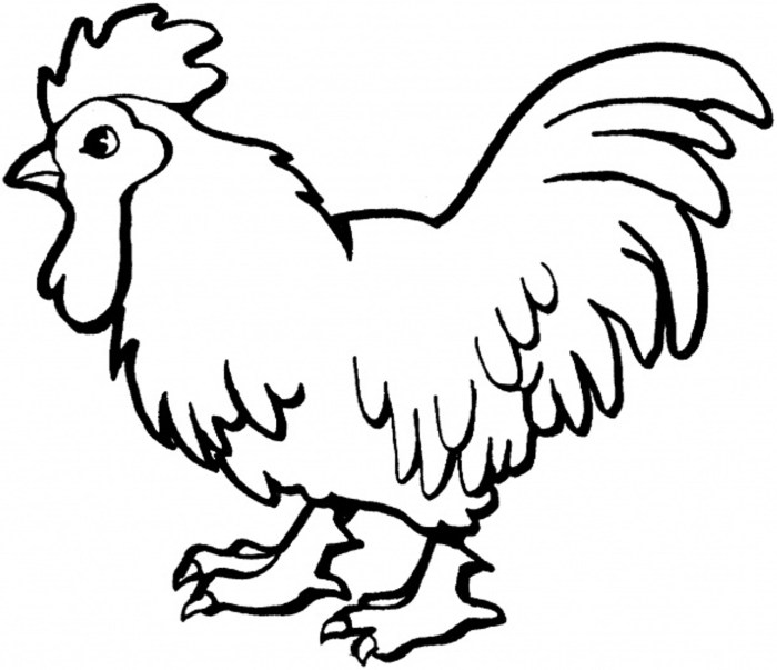 Farm animal babies coloring pages