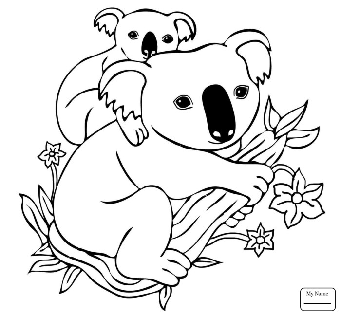 Animated baby koalas coloring pages