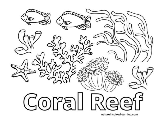 Coral reef animals coloring pages