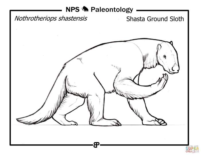 Coloring pages of prehistoric animals