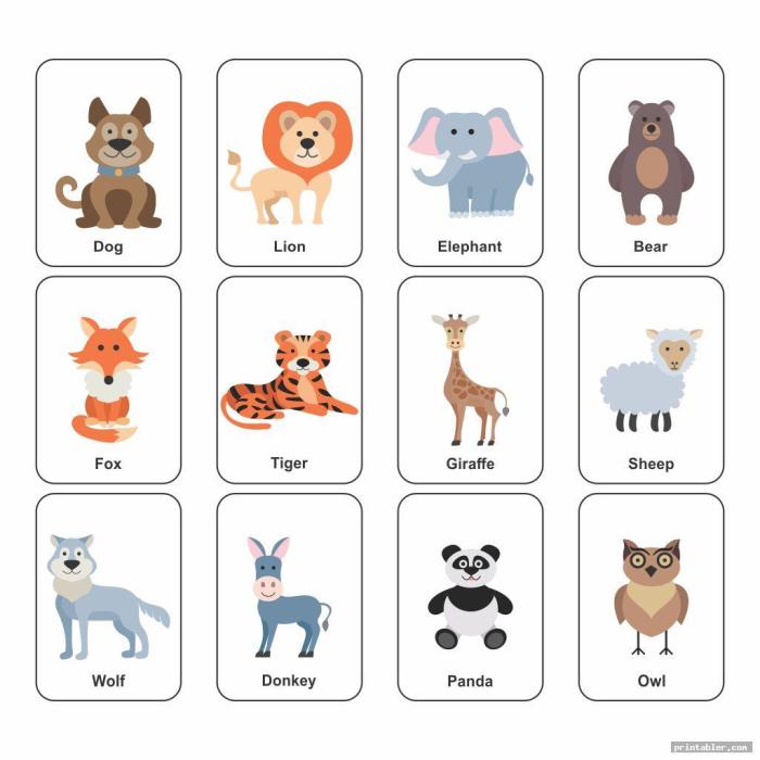 Animal coloring flash cards