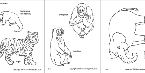 Coloring pages of asian animals