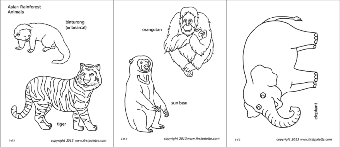 Coloring pages of asian animals