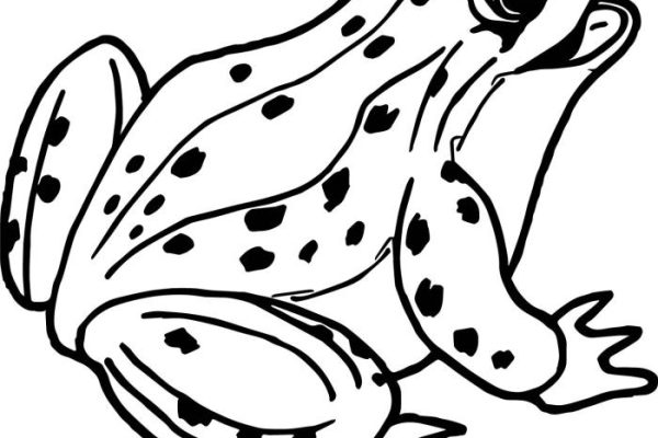 Animal coloring pages for teenagers frog