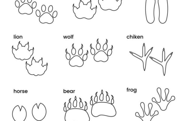 Animal footprints coloring page