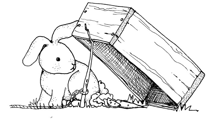 Animal trapping coloring sheet