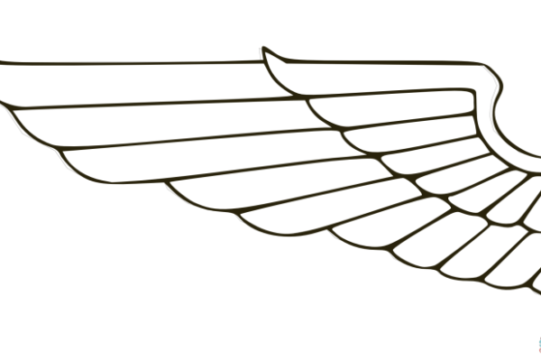 Animals with wings coloring pages