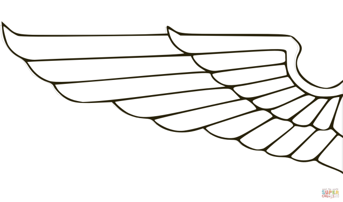 Animals with wings coloring pages