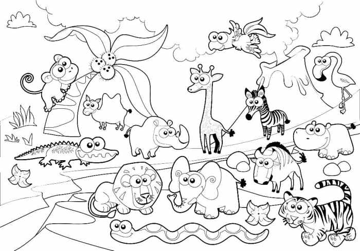 The animal kingdom coloring book