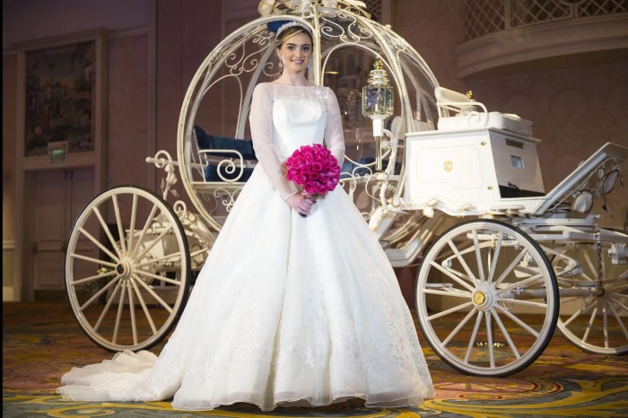 Wedding dress cinderella 2015